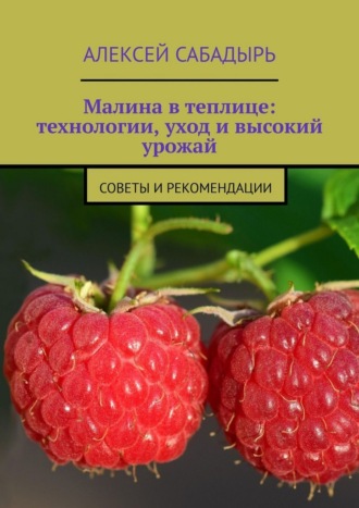 Алексей Сабадырь. Малина в теплице: технологии, уход и высокий урожай. Советы и рекомендации