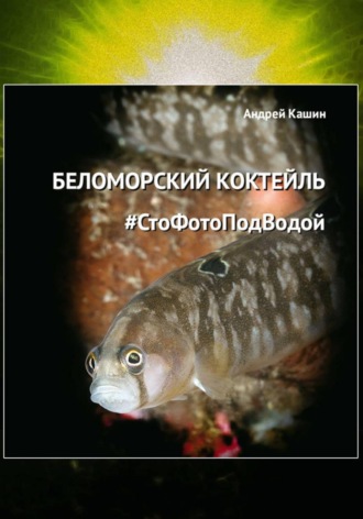 Андрей Кашин. Фотоальбом «Беломорский коктейль #СтоФотоПодВодой»