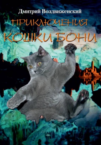 Дмитрий Воздвиженский. ПРИКЛЮЧЕНИЯ КОШКИ БОНИ