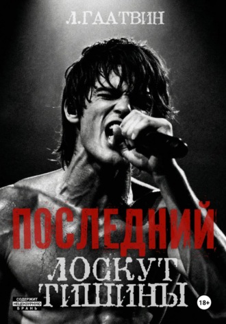 . Последний лоскут тишины