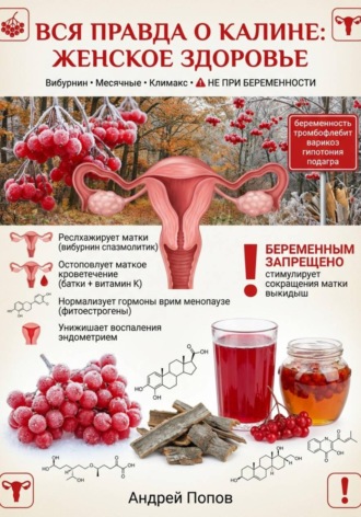 . Вся правда о калине: женское здоровье