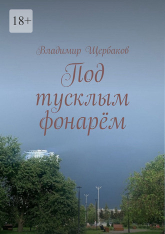 Владимир Щербаков. Под тусклым фонарём