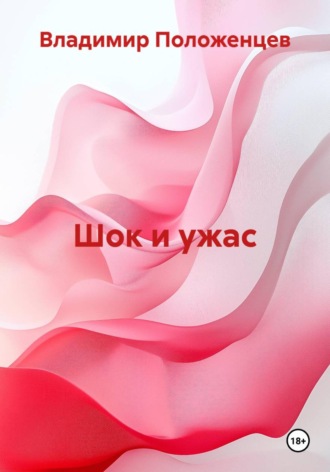 Владимир Николаевич Положенцев. Шок и ужас