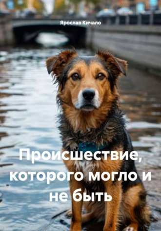 . Происшествие, которого могло и не быть