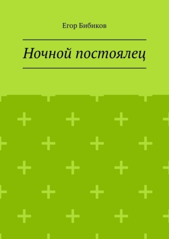 Егор Сергеевич Бибиков. Ночной постоялец