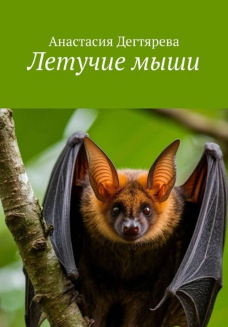 Анастасия Александровна Дегтярева. Летучие мыши