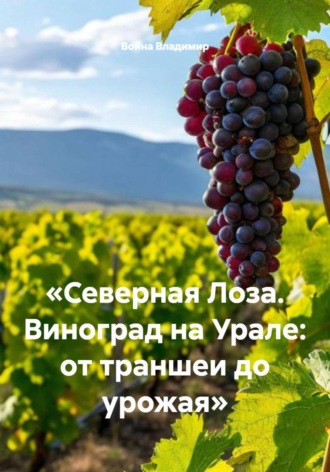 Война Владимир. Северная Лоза. Виноград на Урале: от траншеи до урожая