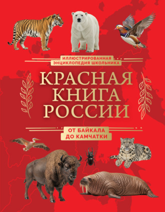 Юлия Добрыня. Красная книга России. От Байкала до Камчатки. Иллюстрированная энциклопедия школьника