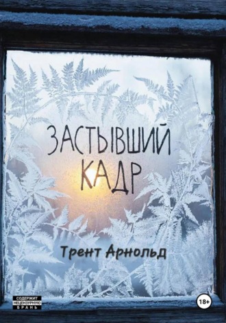 Трент Арнольд. Застывший кадр