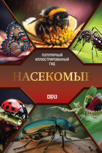 . Насекомые. Иллюстрированный гид