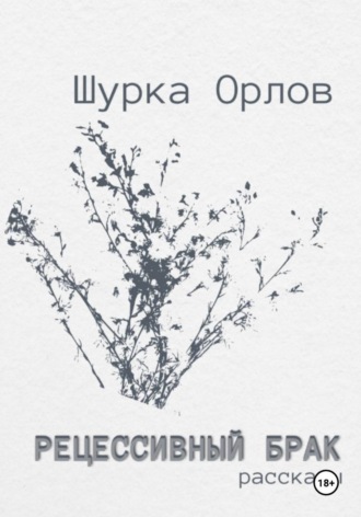 Шурка Орлов. Рецессивный брак