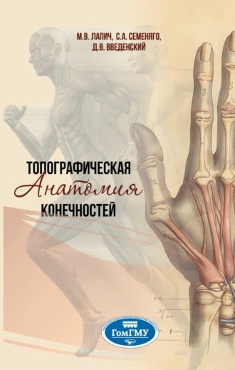 Мария Витальевна Лапич. Топографическая анатомия конечностей