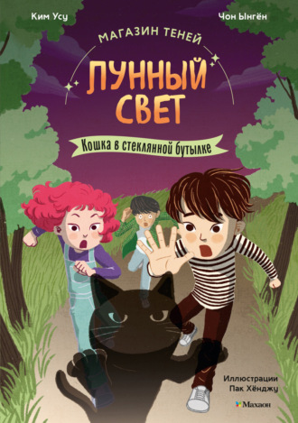 Чон Ынгён. Магазин теней «Лунный свет». Книга 2. Кошка в стеклянной бутылке