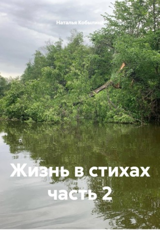 . Жизнь в стихах часть 2