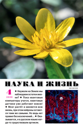 . Наука и жизнь №04/2026