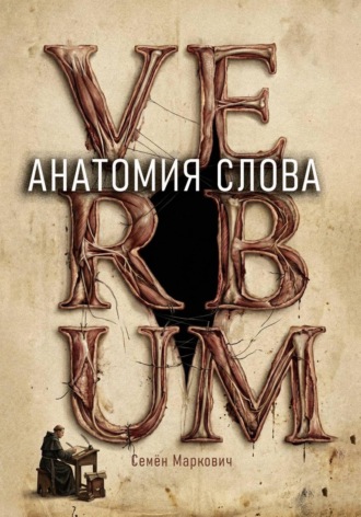 . Анатомия слова