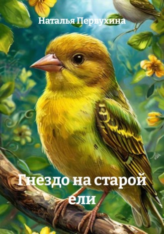 . Гнездо на старой ели