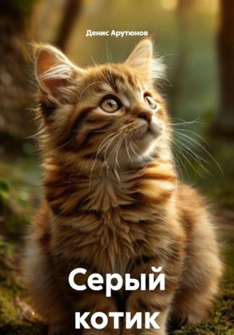 . Серый котик