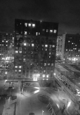 Татьяна Викторовна Блинкова. Огни большого города