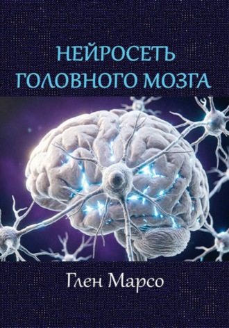 . Нейросеть головного мозга