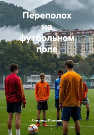 . Переполох на футбольном поле