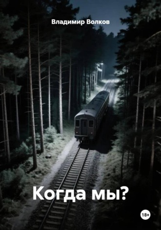 Владимир Владимирович Волков. Когда мы?