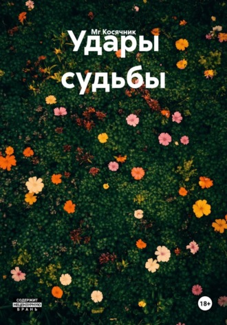 Mr Косячник. Удары судьбы