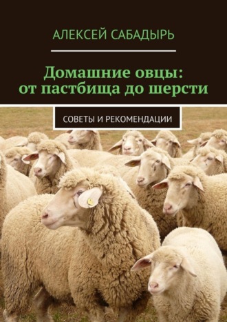 Алексей Сабадырь. Домашние овцы: от пастбища до шерсти. Советы и рекомендации