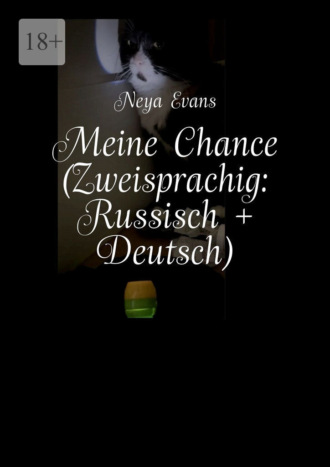 Neya Evans. Meine Chance (Zweisprachig: Deutsch + Russisch). Oder Das lustigste Buch dar?ber, wie man das Gl?ck nicht verpasst