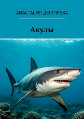 Анастасия Дегтярева. Акулы