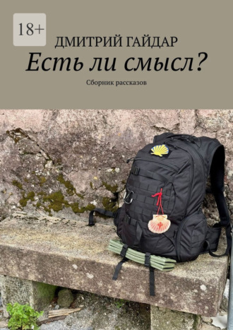 Дмитрий Гайдар. Есть ли смысл? Сборник рассказов