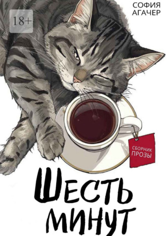 София Агачер. Шесть минут. Сборник прозы