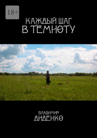 Владимир Диденко. Каждый шаг в темноту