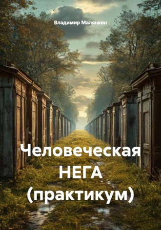 Владимир Юрьевич Малянкин. Человеческая НЕГА (практикум)