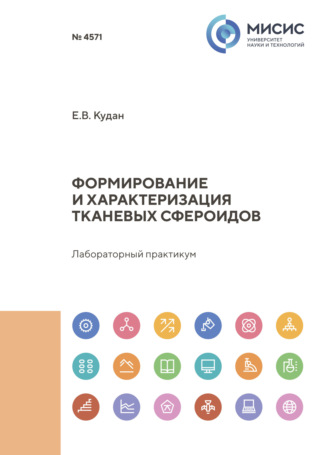 Е. В. Кудан. Формирование и характеризация тканевых сфероидов