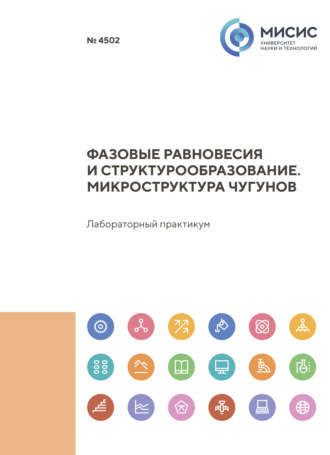 В. Ю. Введенский. Фазовые равновесия и структурообразование. Микроструктура чугунов