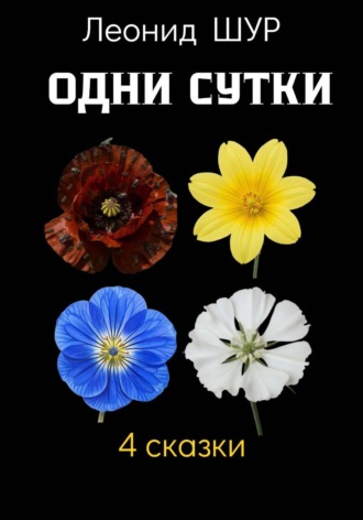 . Одни сутки