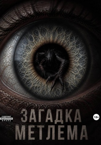 Andrii Hrymak. Загадка Метлема