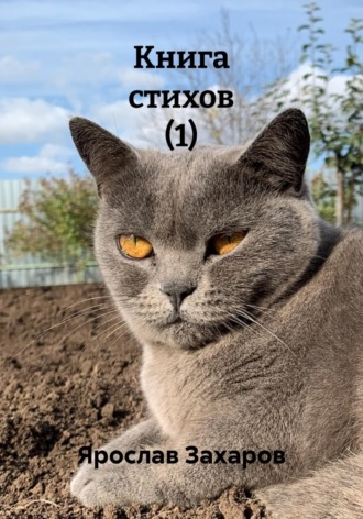 Ярослав Захаров. Книга стихов (1)
