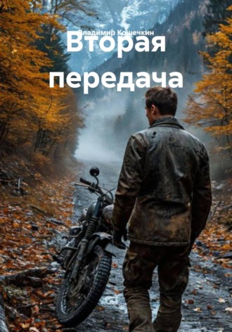 Владимир Кошечкин. Вторая передача
