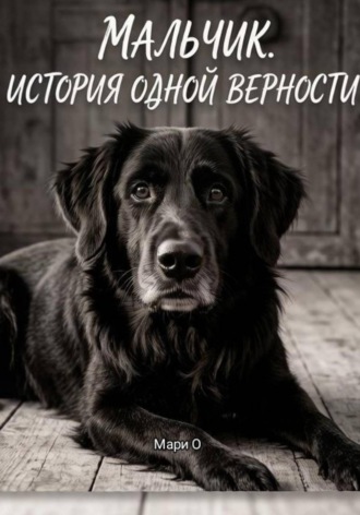 . Мальчик. История одной верности