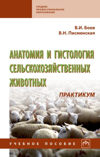 Вячеслав Иванович Боев. Анатомия и гистология сельскохозяйственных животных: Практикум