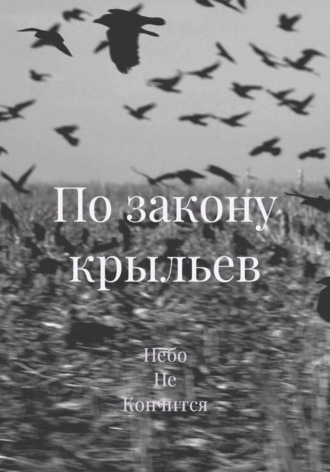  Небо Не Кончится. По закону крыльев