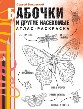 Сергей Быковский. Бабочки и другие насекомые. Атлас-раскраска