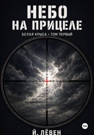 Йоханн Лёвен. Небо на прицеле