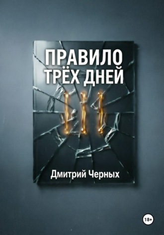 Дмитрий Черных. Правило трёх дней