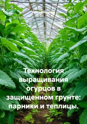 Война Владимир. Технология выращивания огурцов в защищенном грунте: парники и теплицы