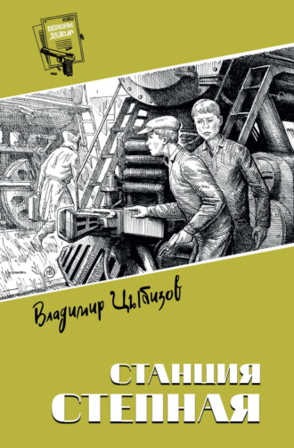 Владимир Цыбизов. Станция Степная