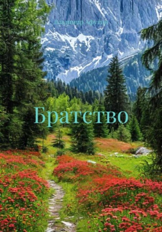 Владимир Афутин. Братство