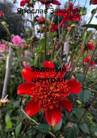 Ярослав Захаров. Зеленый централ